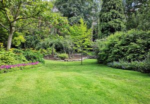 Optimiser l'expérience du jardin à Capesterre-Belle-Eau
